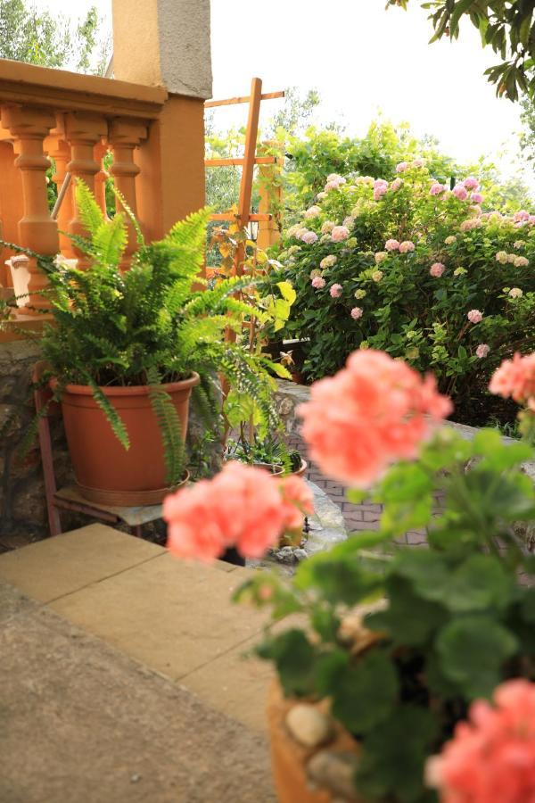 Apartmani Sarlija Pakoštane Exteriér fotografie